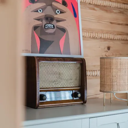 U Młynarki Apartament Witów