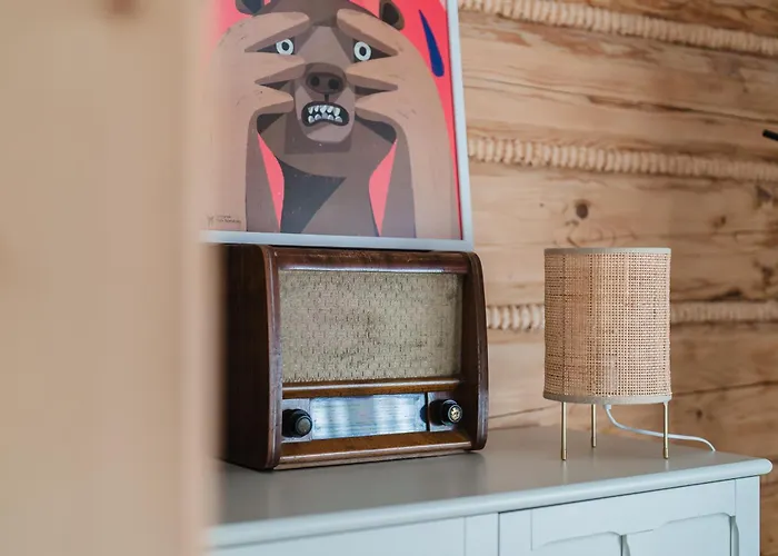 U Młynarki Apartament Witów